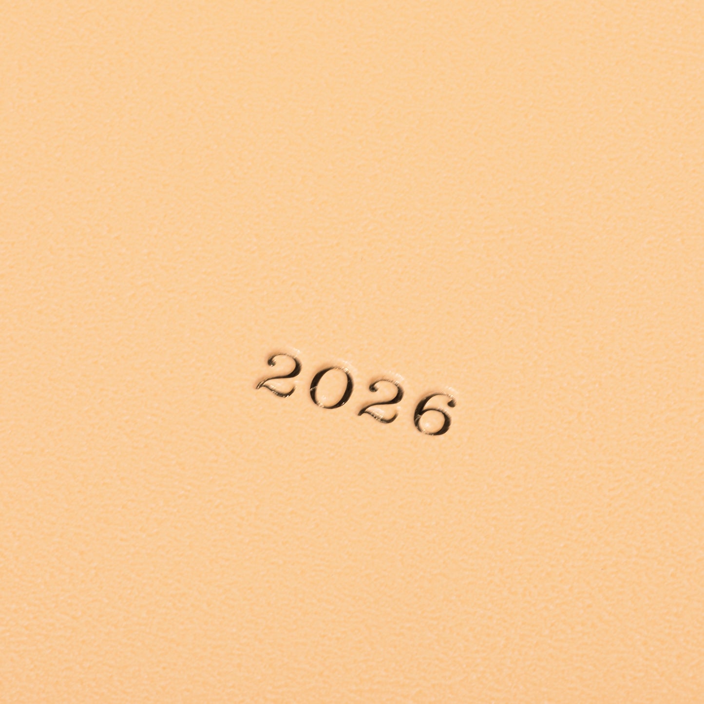 Mark's Inc. EdiT One Page Per Day Nuance 2026 B6