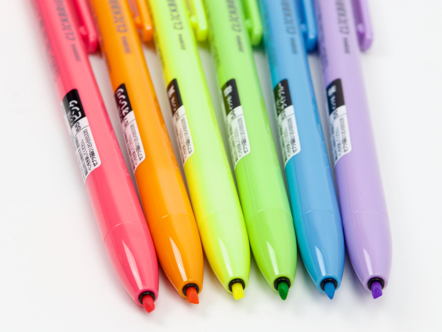 Zebra Click Individuos brillantes