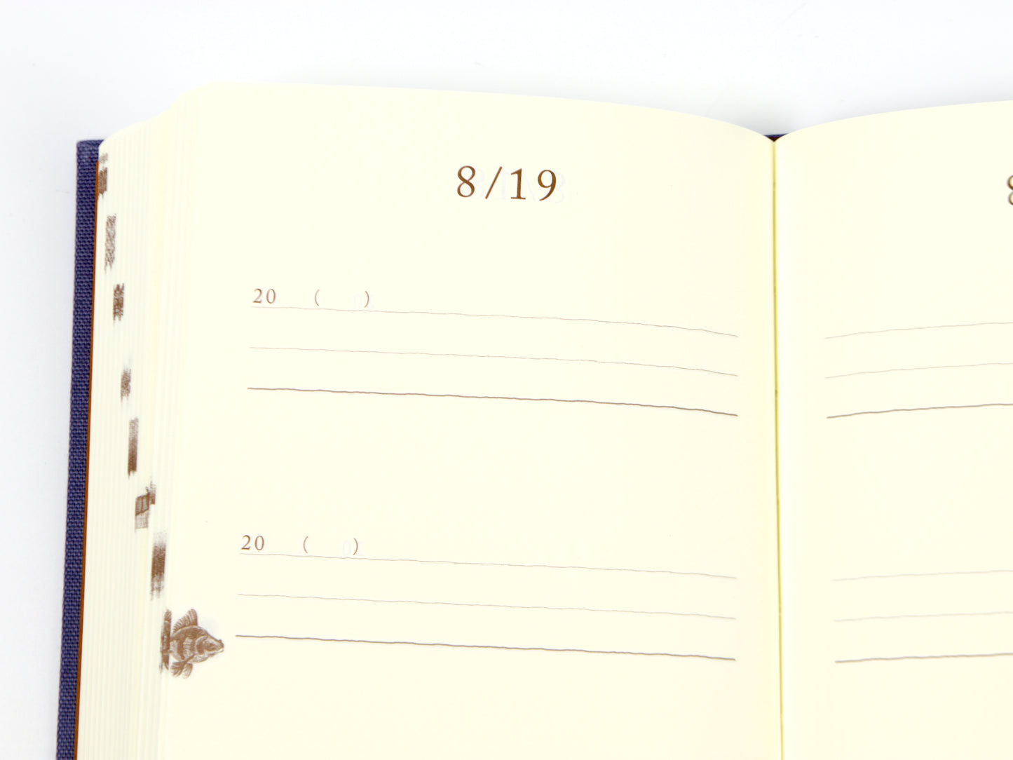 Journal de 5 ans de Midori