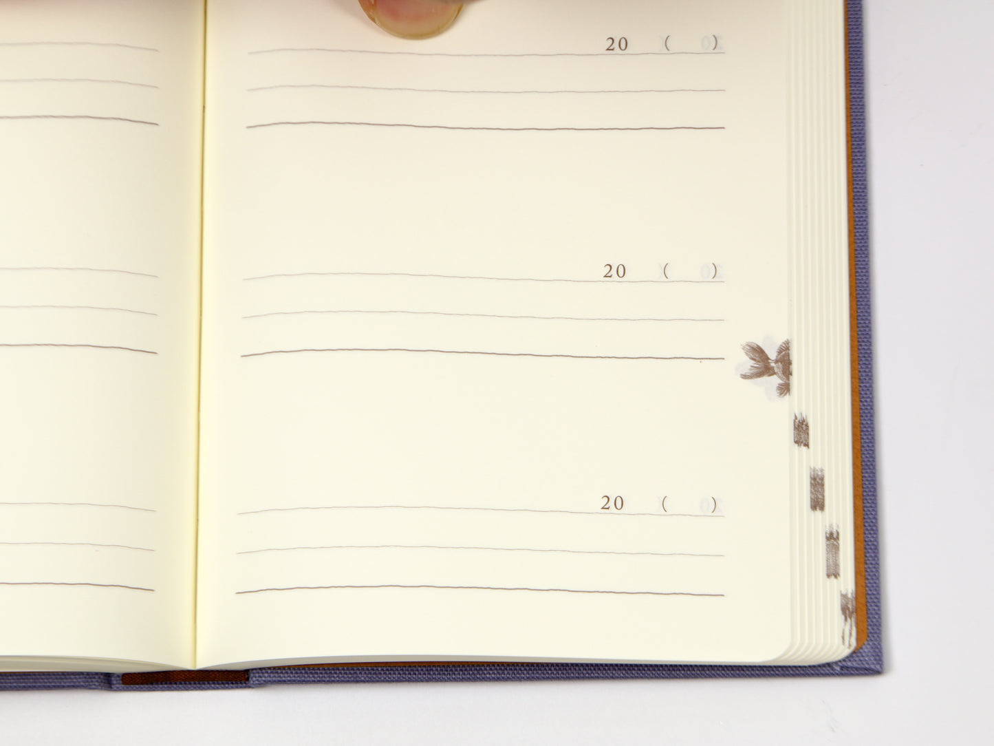 Journal de 5 ans de Midori