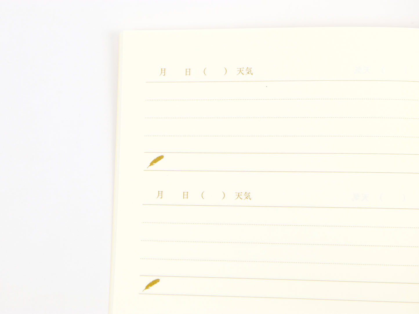 Midori Flexible Diary