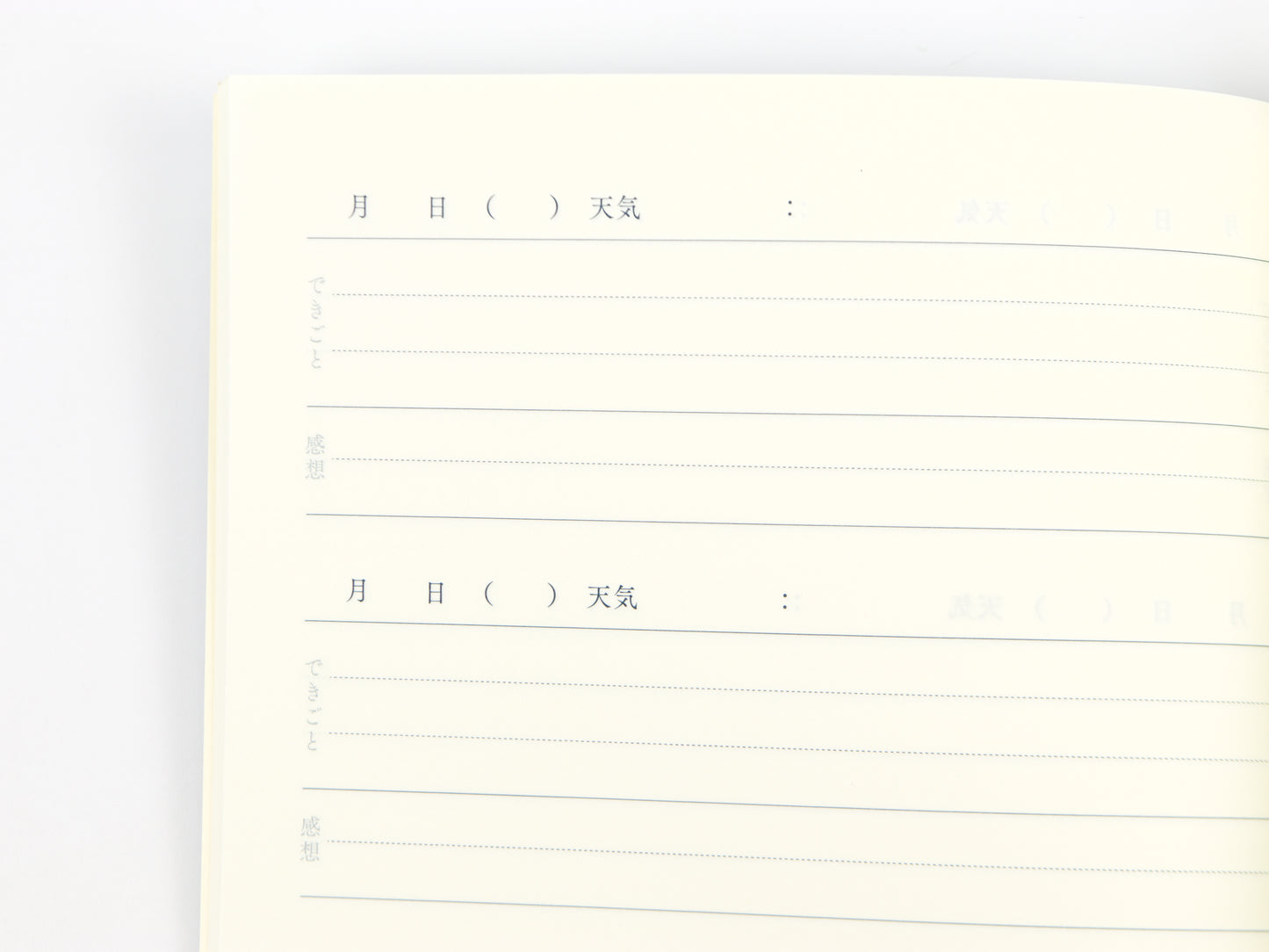 Midori Flexible Diary