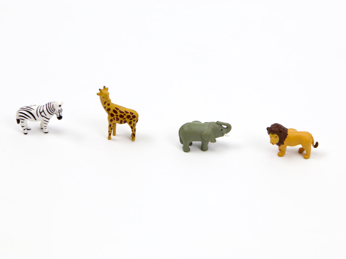Midori Mini Magnets