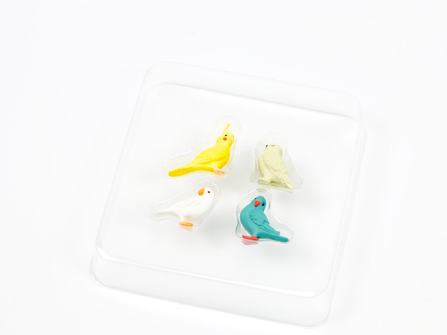 Midori Mini Magnets