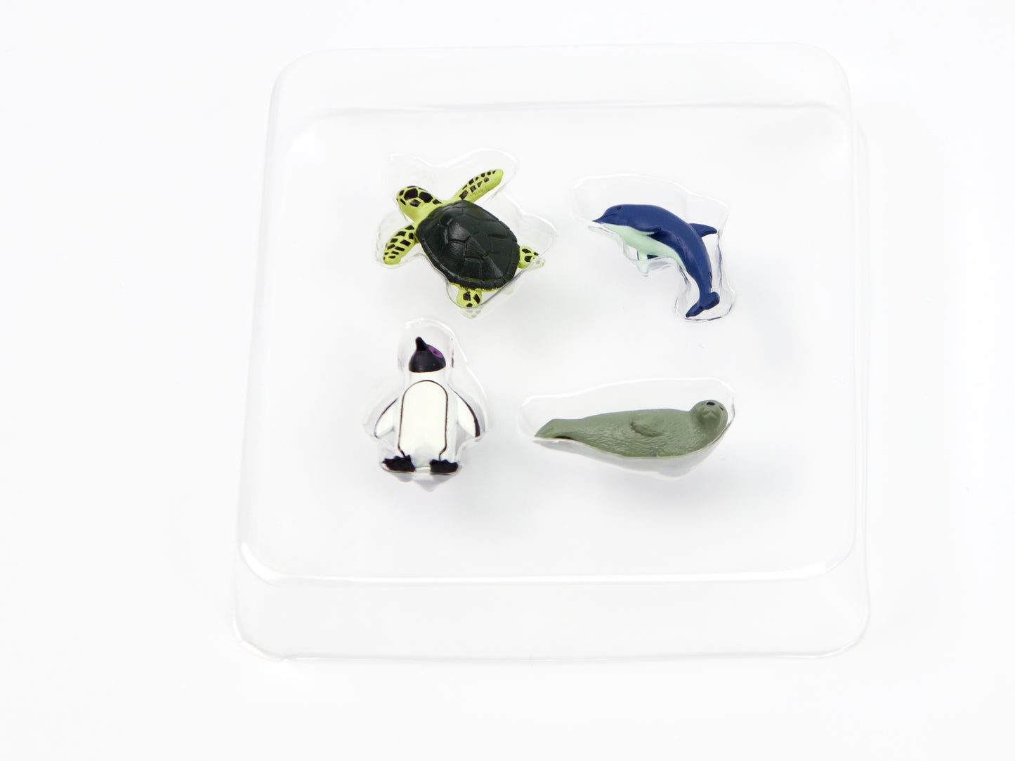 Midori Mini Magnets