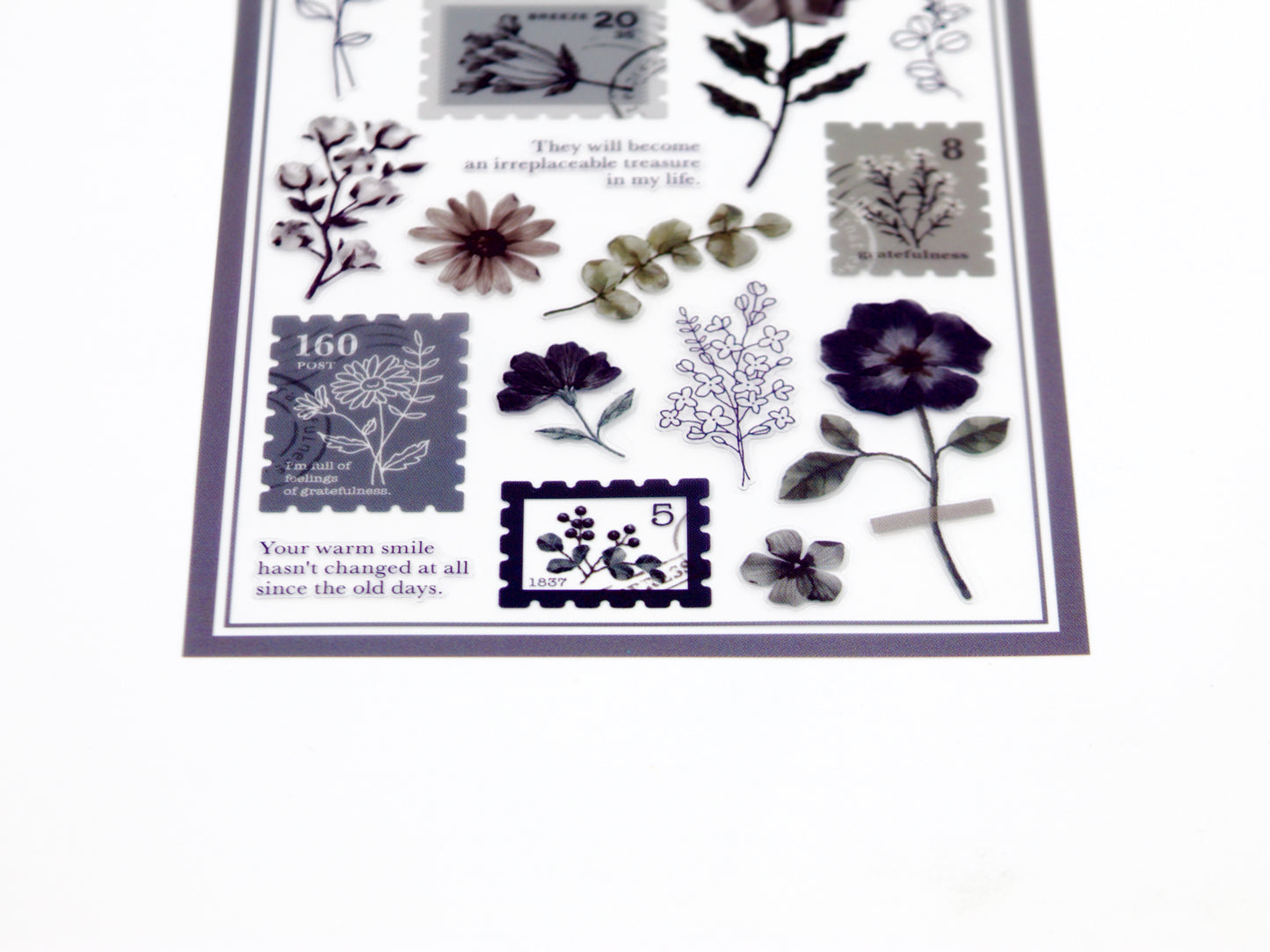 Mind Wave Oshibana Seal