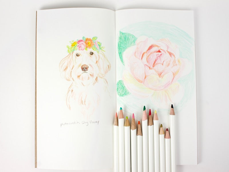 003 Recambio de cuaderno en blanco