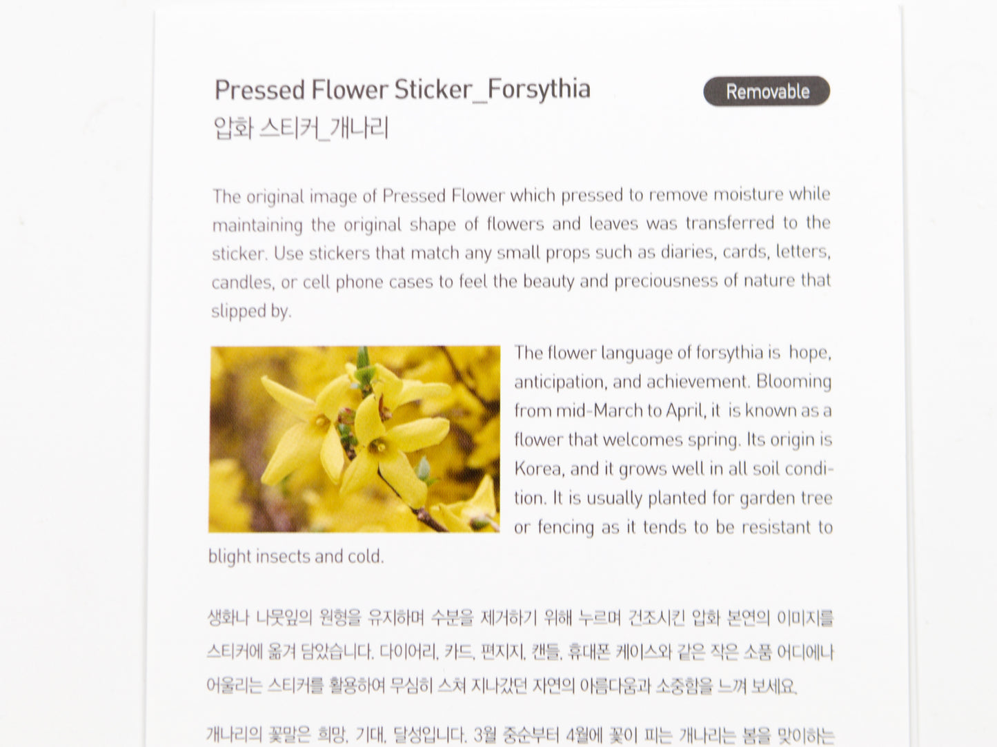Appree Pressed Flower Stickers