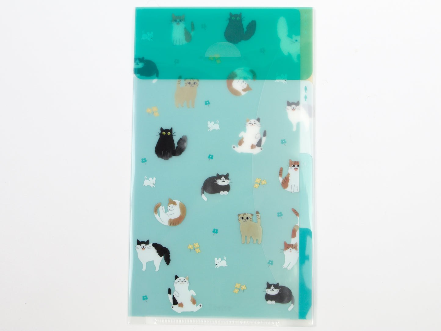 Midori Clear Folder A5 Slim
