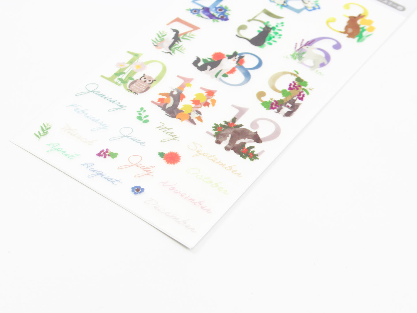 Midori Transfer Stickers