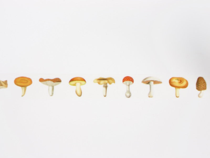 mt ex Mushrooms