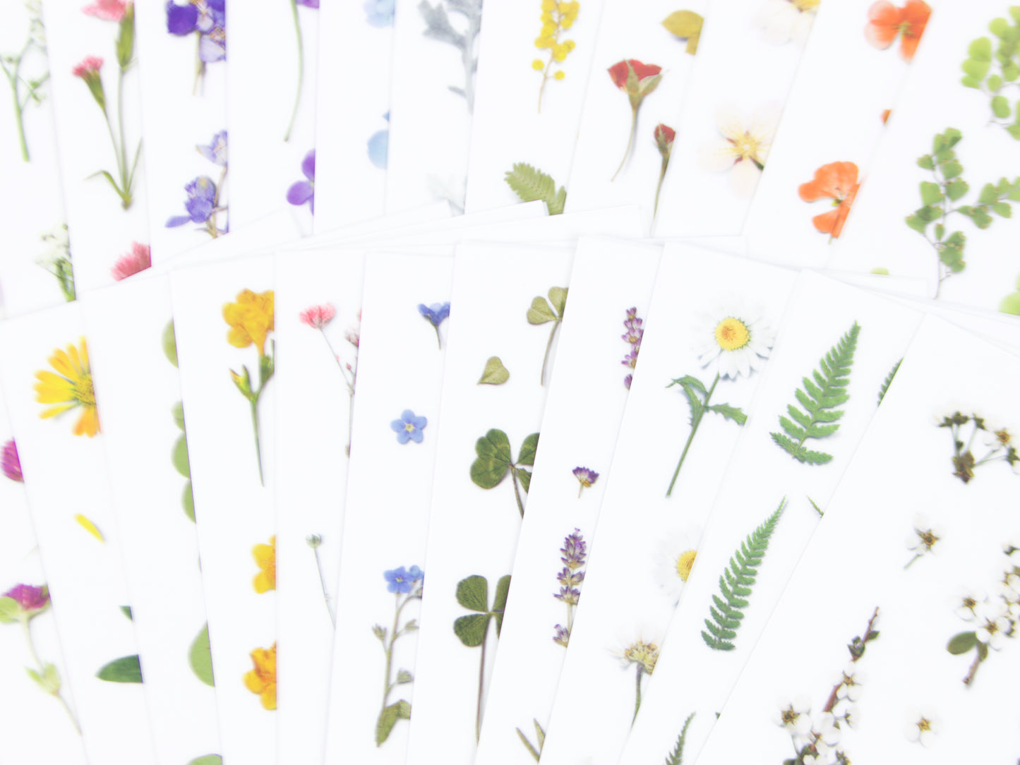 Appree Pressed Flower Stickers