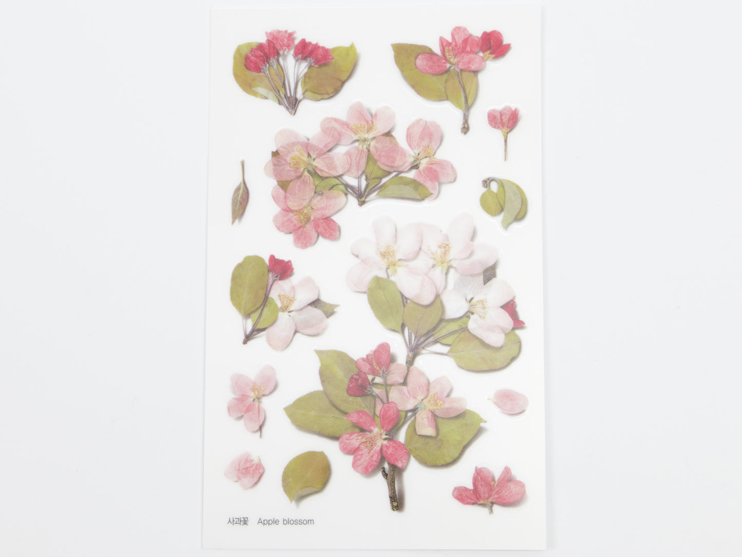 Appree Pressed Flower Stickers