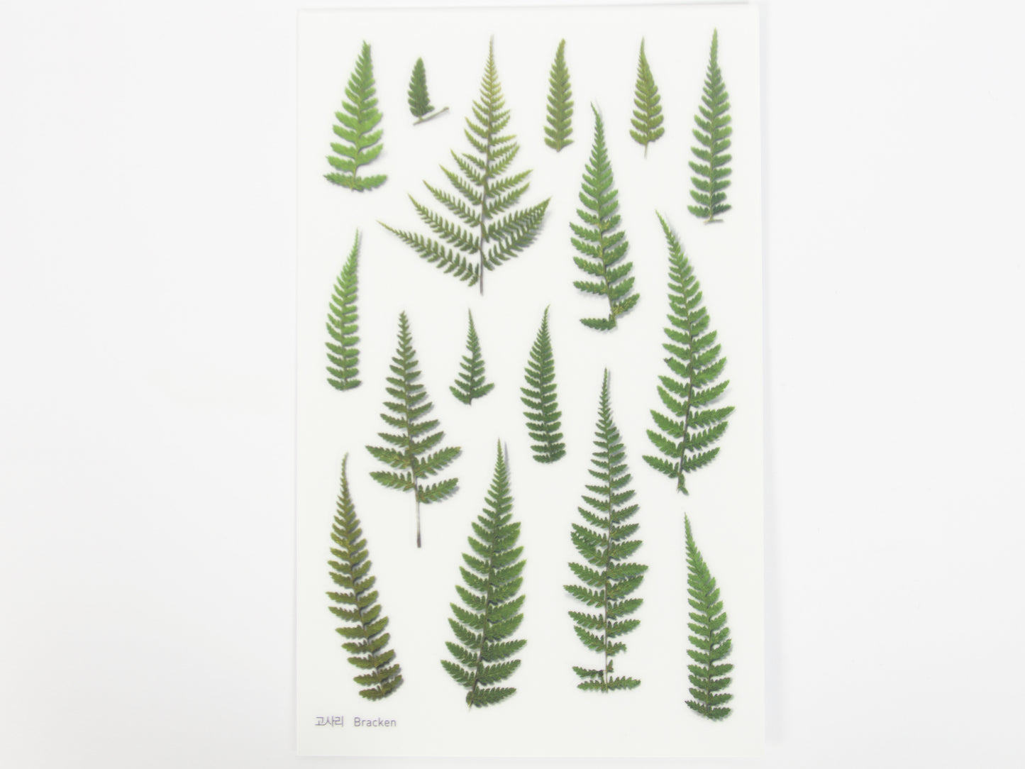 Appree Pressed Flower Stickers