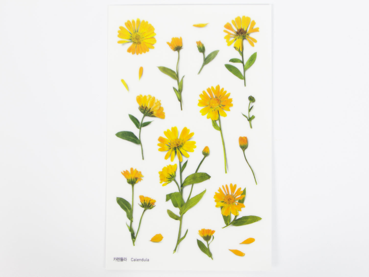 Appree Pressed Flower Stickers