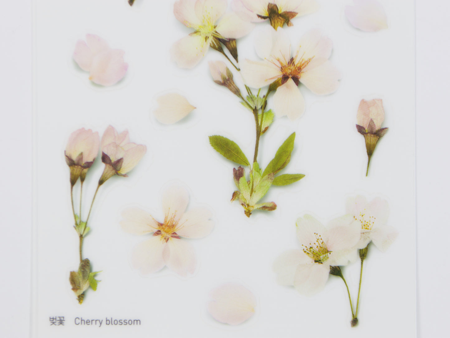 Appree Pressed Flower Stickers