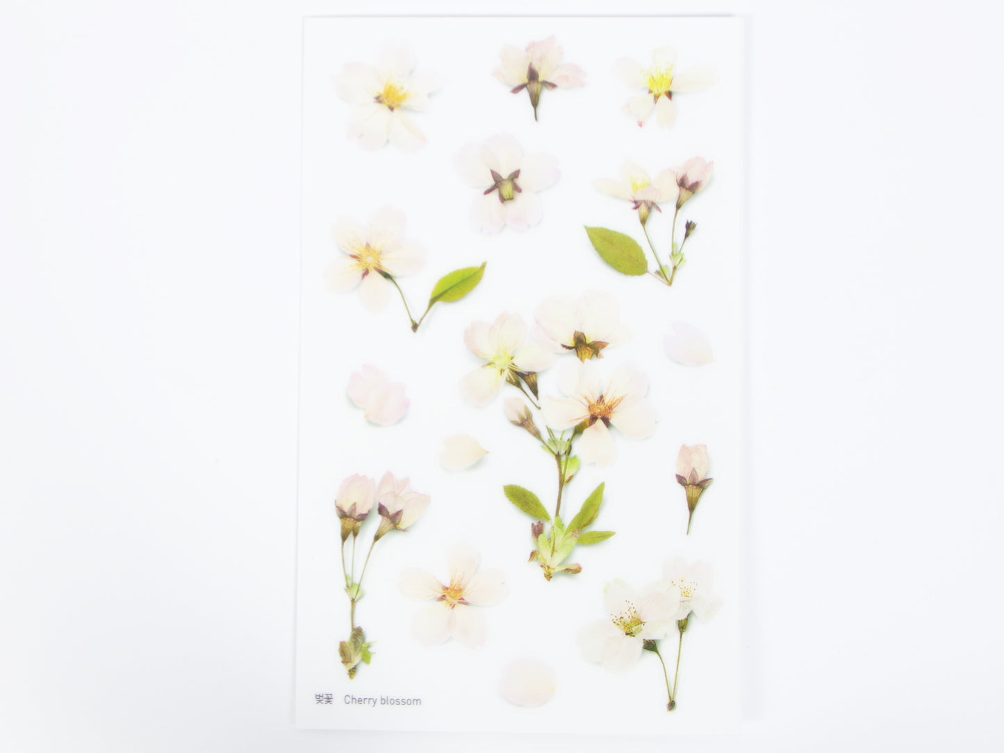 Appree Pressed Flower Stickers