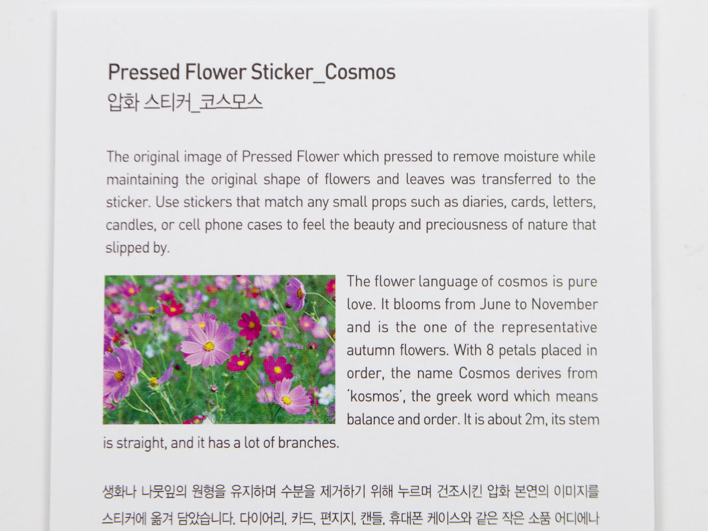 Appree Pressed Flower Stickers