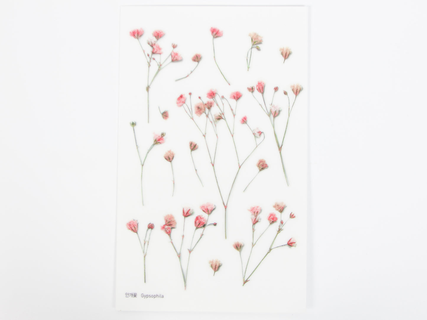 Appree Pressed Flower Stickers