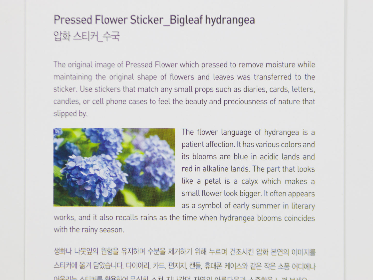 Appree Pressed Flower Stickers