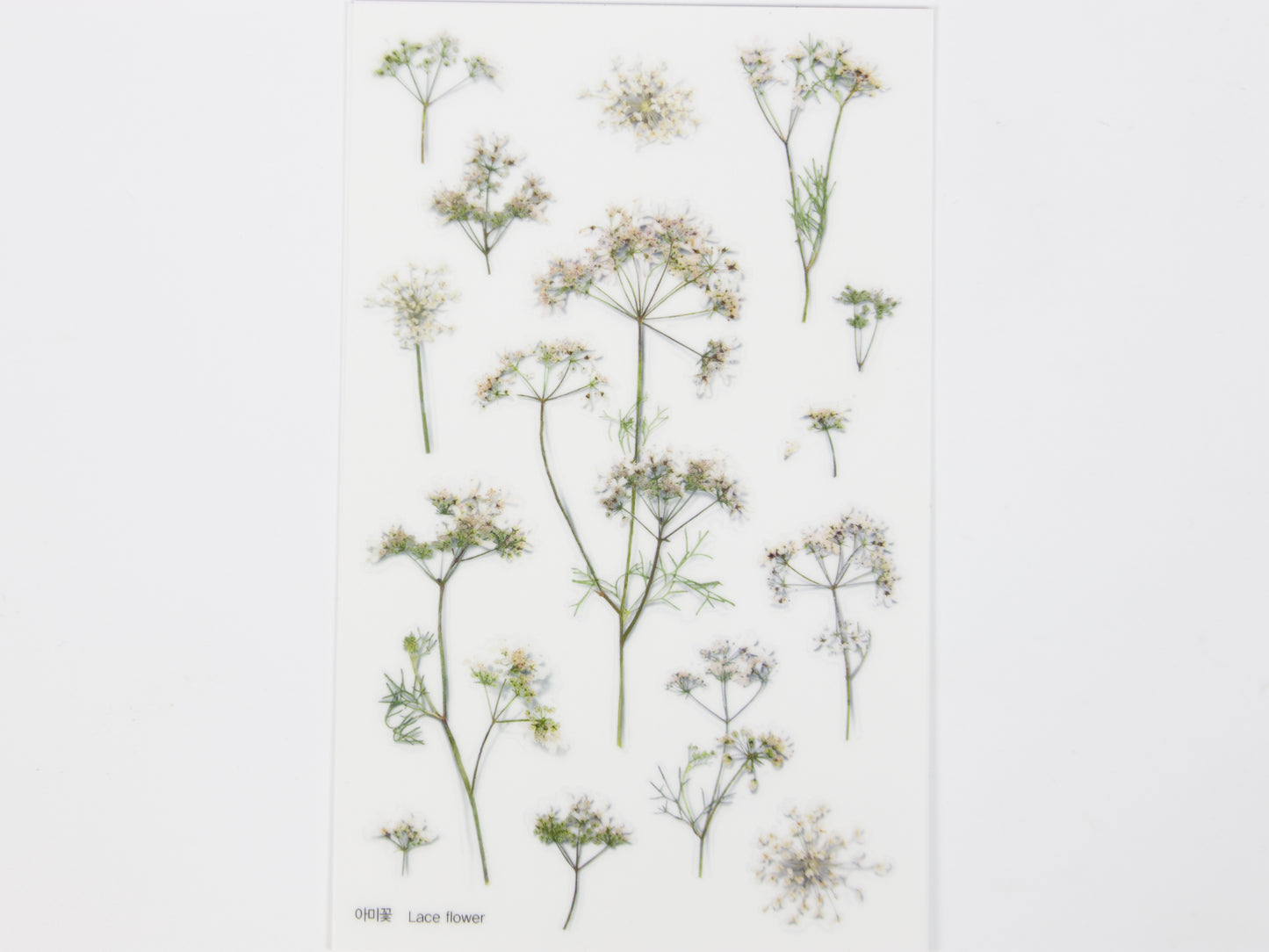 Appree Pressed Flower Stickers