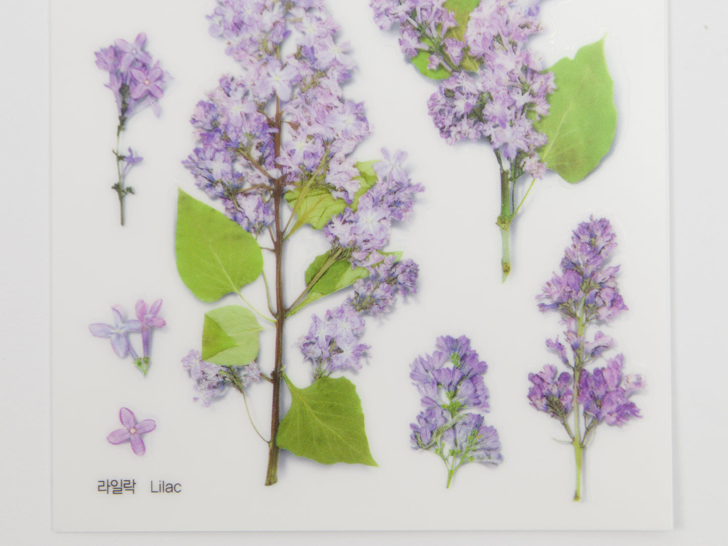 Appree Pressed Flower Stickers