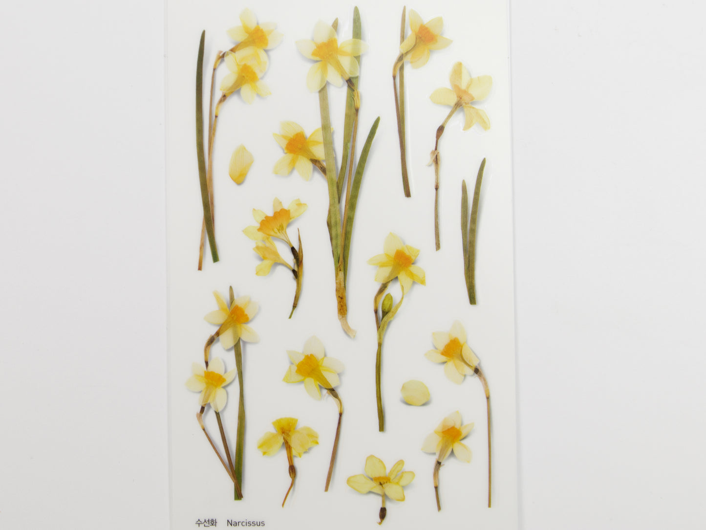 Appree Pressed Flower Stickers