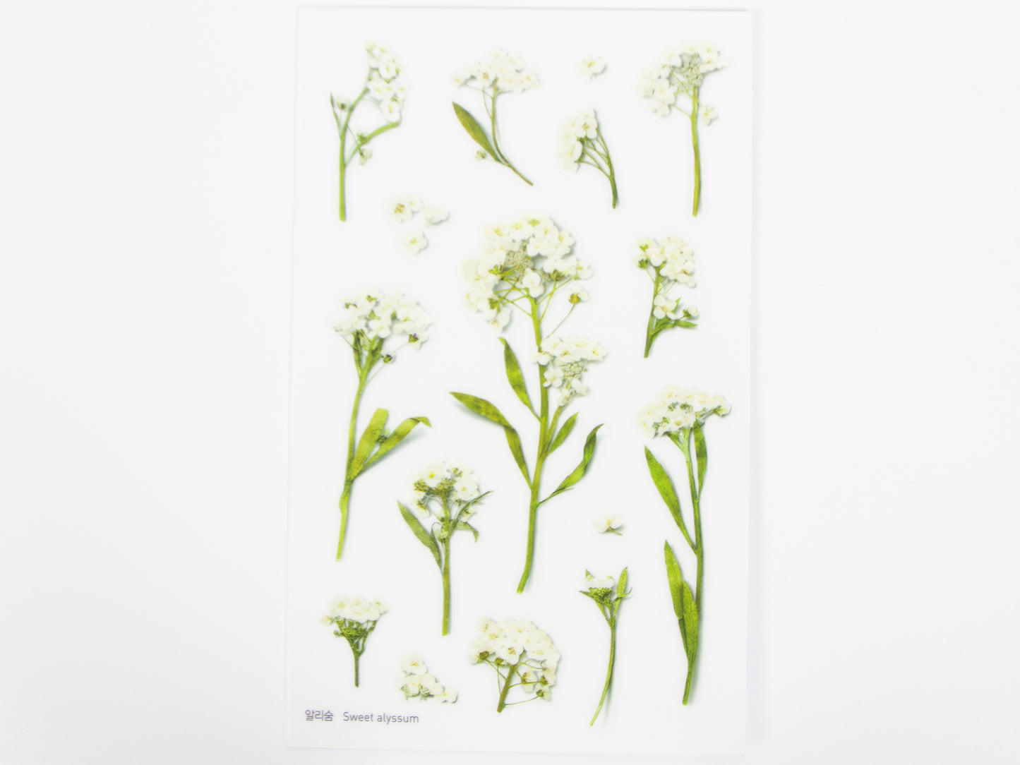 Appree Pressed Flower Stickers