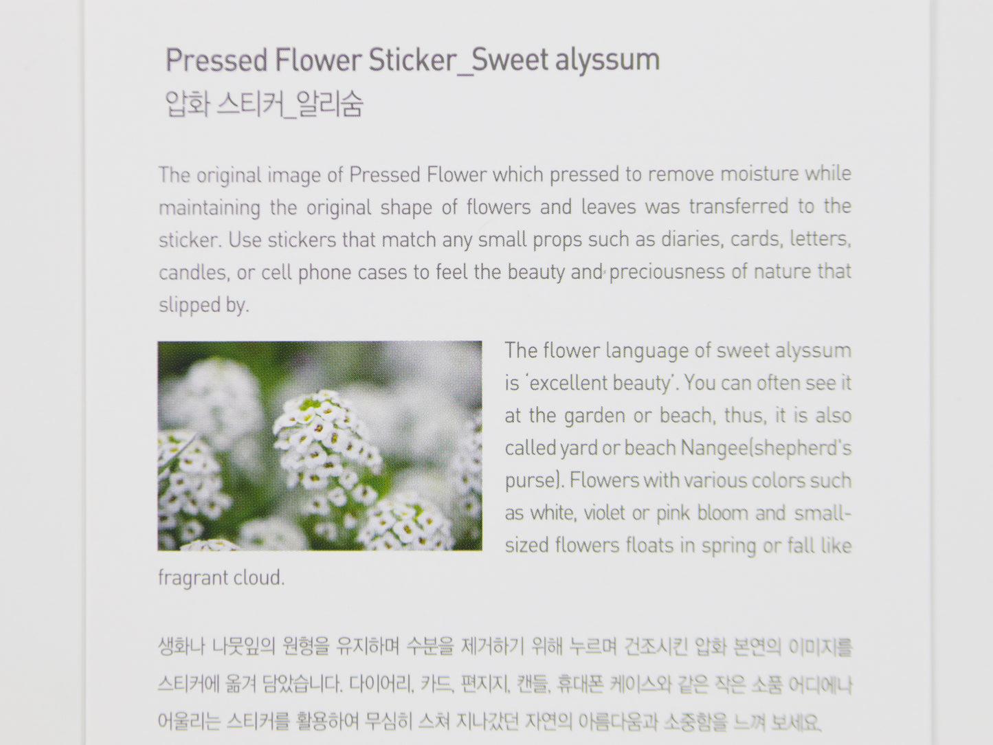 Appree Pressed Flower Stickers